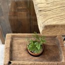 후암한의원 이미지