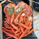 대해 | [속초] 속초해수욕장 뷰 대게 맛집 “대해가” 내돈내산 후기(할인정보)🦀