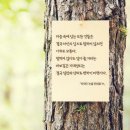 뉴스정보~연애정보 이미지