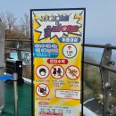 스카이 밸리 | [여행김꽈자] 묵호 도째비골 스카이밸리 후기 : 미끄럼틀 자이언트 슬라이드 솔직 리뷰 + 해랑전망대까지