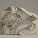 하이에나 PC 이미지