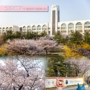 인항로24번길 이미지