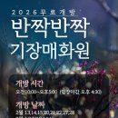 매화원 | 기장 아기랑 가볼만한곳 반짝반짝 기장매화원 꽃구경 후기