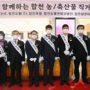 합천축산물 시사코리아저널