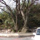 진상중학교 이미지