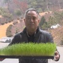 농업회사법인주식회사 주성 이미지