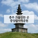 이마트24충주중앙탑점 | 중앙탑사적공원 충주 여행 가볼만한 곳 | 산책하기 좋은 피크닉 명소