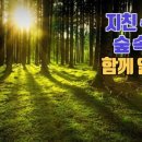 미라클숲 이미지