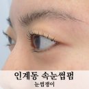 수원시청역 인계동 속눈썹펌, 눈썹쟁이 내돈내산 재방문 후기
