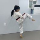 NBT 하이라이트 태권도장 이미지