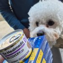 동편동물병원 이미지