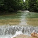 한농유기농 건강체험마을 이미지