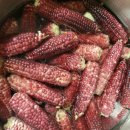 예정농장 이미지