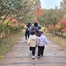 아이큰숲교육 | 인천수목원 가을 숲체험 프로그램 아이와 함께하는 자연교육 후기