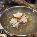 고고돼지 이미지