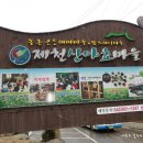 제천자연산약초