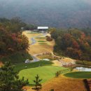 동강시스타 이미지