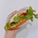 울산 케이터링 수제도시락 다다상점 피크닉 메뉴로도 굿
