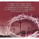 주)뼈세상 이미지