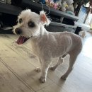 UR(인천광역시 남동구)-37[예술로]-하-15 | 7월 18일부터 오늘까지