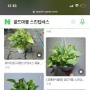 액비골(2) 네이버블로그