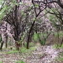 GS목련주유소 이미지