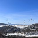 선자령 겨울 눈꽃산행 ❄️ 4시간 등산코스로 당일치기 등산 후기 (대관령마을 휴게소 주차장 시작)