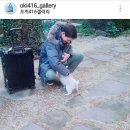 오끼416갤러리