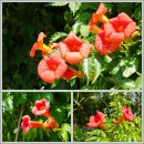 임자 수도 관광안내소 | [신안구간]서해랑길 29코스(증도관광안내소~점암선착장)