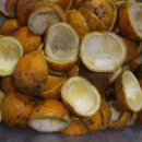 남해우리집 이미지