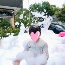 일랑일랑 스테이 이미지