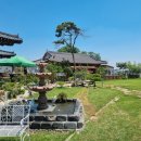 대부도한옥펜션 반디브 | 애견펜션 대부도에서 만난 특별한 한옥 펜션 반디브 후기