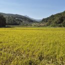 예동마을회관 이미지