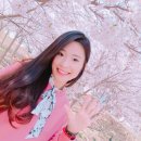 하서2리 | 절리인근맛집 &lt;기와집해물칼국수&gt; 부추면 해물칼국수(2인) + 왕만두 솔직후기, 강력추천!!TV SBS 출연맛집