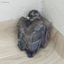 가산도서관(1층) | ˖⁺‧₊˚2025년 5월 다섯째 주 일상♡˚₊‧⁺˖