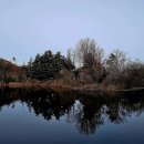 영랑한의원 이미지