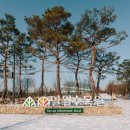 수원-1941 이미지