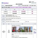 신안드림여행사