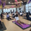 뉴파워짐 이미지