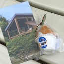 마당모당IN애월 민박 | 제주도 애월 소품샵 추천 효리네민박 소길별하 예약, 주차, 후기