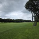 크라운CC 이미지