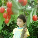 보리수어린이집 이미지