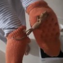 도마바얌 | 세종시 도마뱀 드래곤렙타일 남편돈산 솔직후기