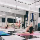 쉬라인폴피트니스 이미지