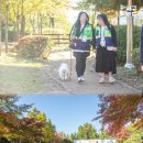 원신근린공원 (1) 이미지