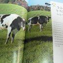 미듬 목장 이미지