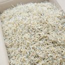 태형상회 이미지