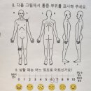 MSL PT | [도안동 pt] MSL PT 날개뼈, 무릎 통증 개선 맞춤 트레이닝 후기