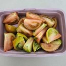 프래쉬애 | GAP인증 탱글탱글 고당도 대저토마토 쿠팡프레쉬 내돈내산 후기