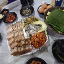 서산보쌈 | 서산 포차 솔직 후기 — 한방 굴보쌈 명소